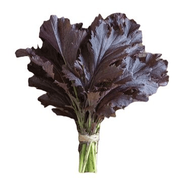 Miz Amerika Hardalı