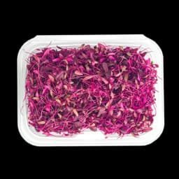 Amaranth Filizi 25g