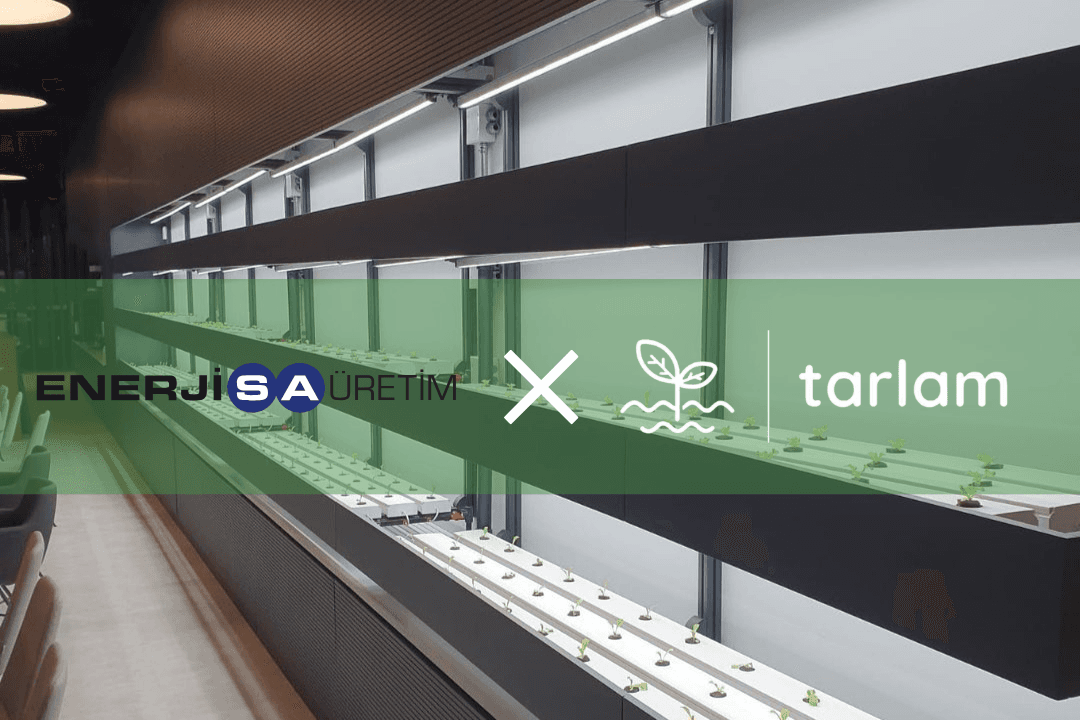 EnerjiSA Üretim x Tarlam