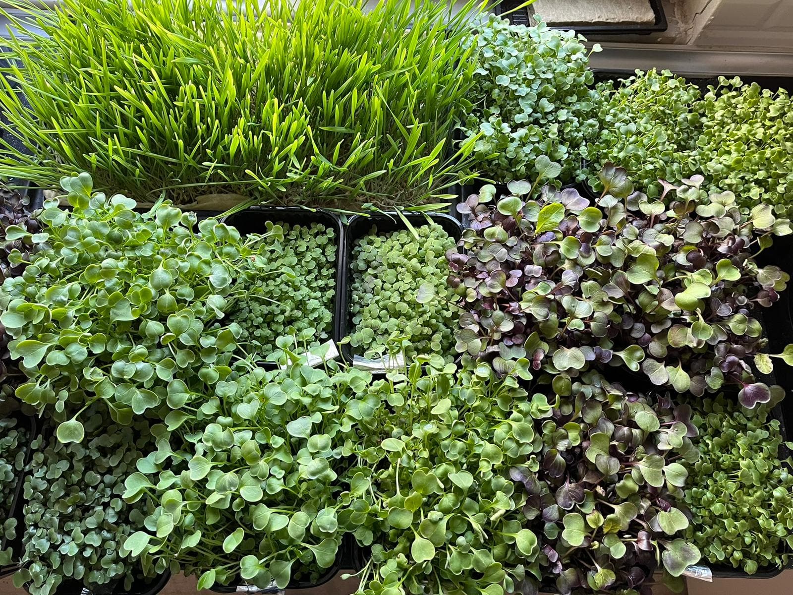 Özel Üretim ve Ar-Ge