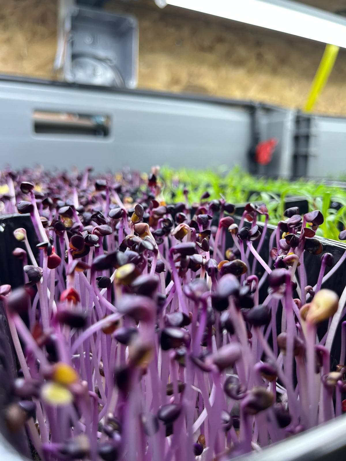 Tarlam Üretim Merkezi